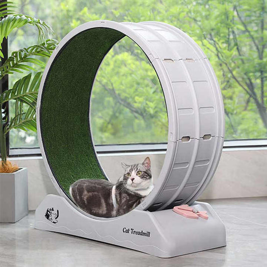 Rueda de Ejercicio para Mascotas