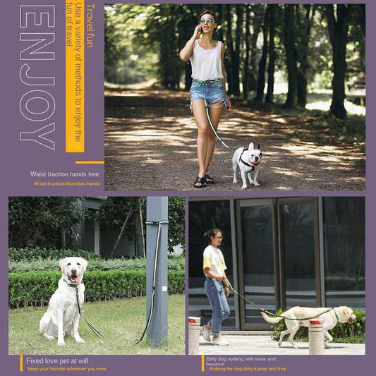 correa con doble asa y banda reflectante para perros grandes