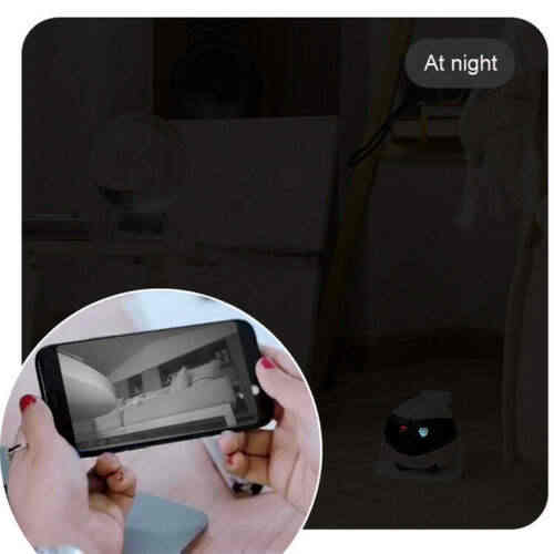 ROBOT VIGILANTE