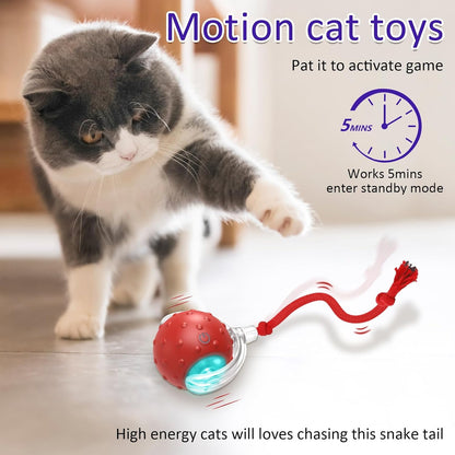 PELOTA INTELIGENTE INTERACTIVA PARA GATOS