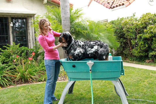 Booster Bath, bañera para mascotas