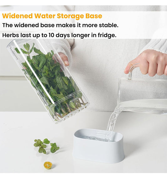 Caja de Almacenamiento de Cilantro y Verduras Frescas
