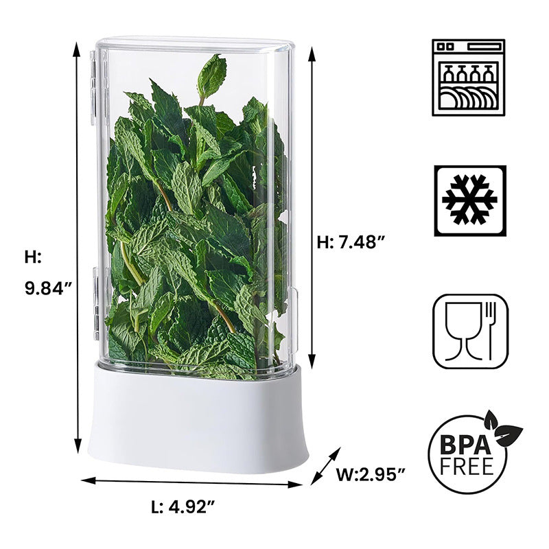 Caja de Almacenamiento de Cilantro y Verduras Frescas