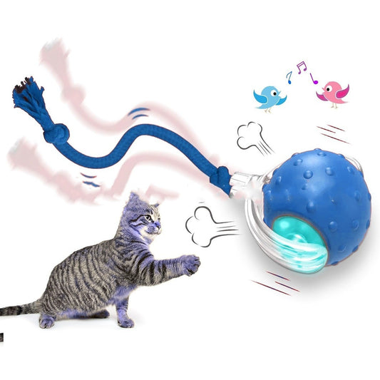 juguete Interactivo de Pelota para Gato y Perro