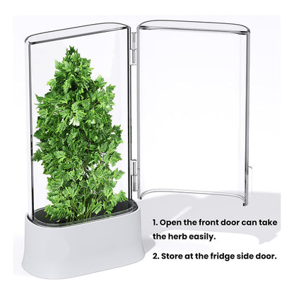 Caja de Almacenamiento de Cilantro y Verduras Frescas