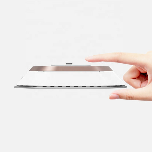 Miniplancha de Ropa Portátil