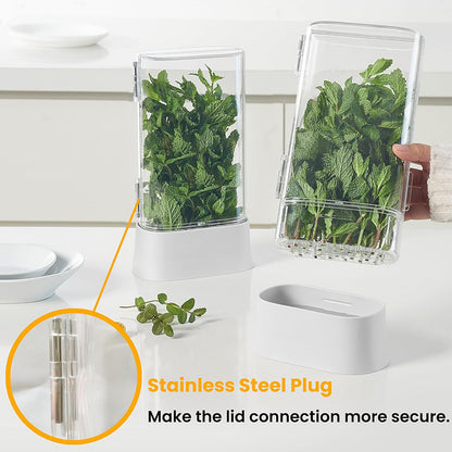 Caja de Almacenamiento de Cilantro y Verduras Frescas
