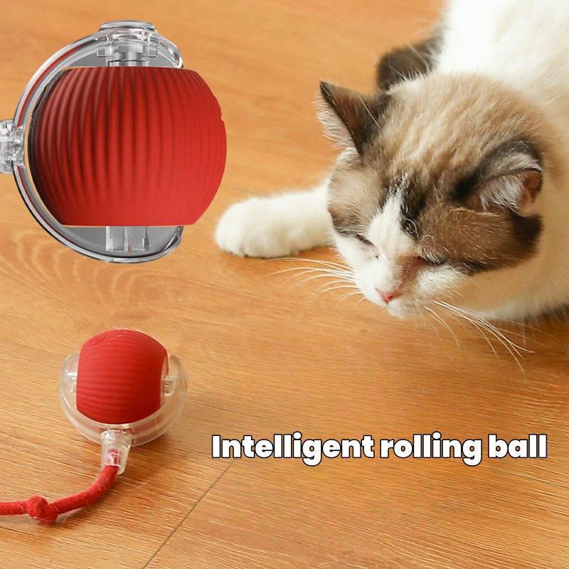 juguete Interactivo de Pelota para Gato y Perro