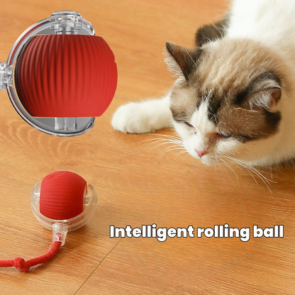 juguete Interactivo de Pelota para Gato y Perro