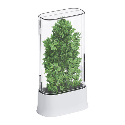 Caja de Almacenamiento de Cilantro y Verduras Frescas