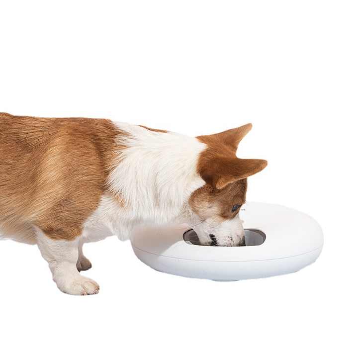 Alimentador automático para mascotas