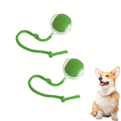 juguete Interactivo de Pelota para Gato y Perro