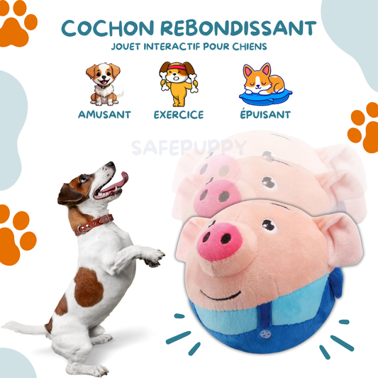CERDITO INTERACTIVO PARA TU MASCOTA Y BEBÉ