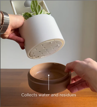 Maceta Inteligente con Luz LED y Sistema de Riego Automático